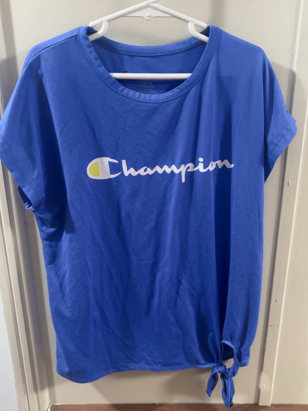 Champion Royal Blue Crewneck Tee with Small Logo Detail